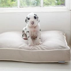 Brand new ⌛ Wholesale 🌟 🦮 Dog Crate with Savanna Cushion by Lords & Labradors 👏 🎉 13 Brand new ⌛ Wholesale 🌟 🦮 Dog Crate with Savanna Cushion by Lords & Labradors 👏 🎉 -Cheap Lords & Labradors Store dog crate with savanna cushion by lords labradors puppy