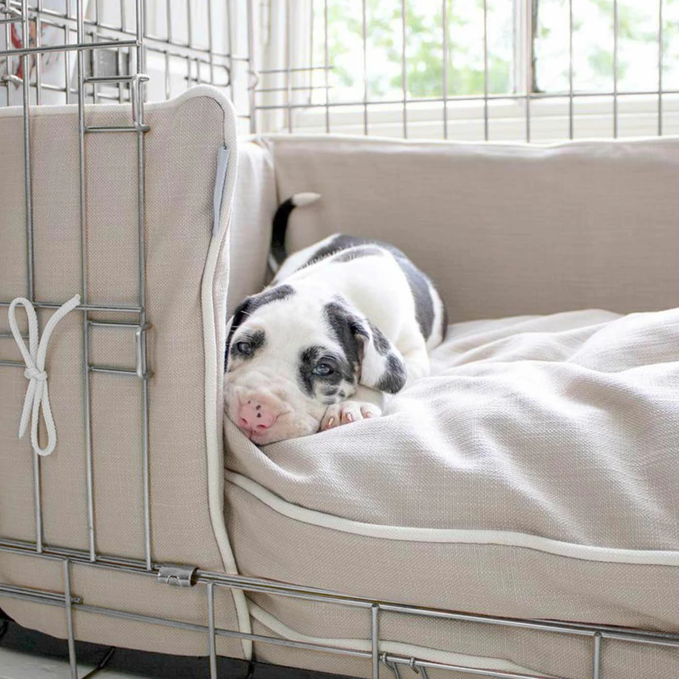 Brand new ⌛ Wholesale 🌟 🦮 Dog Crate with Savanna Cushion by Lords & Labradors 👏 🎉 3 Brand new ⌛ Wholesale 🌟 🦮 Dog Crate with Savanna Cushion by Lords & Labradors 👏 🎉 - Image 3