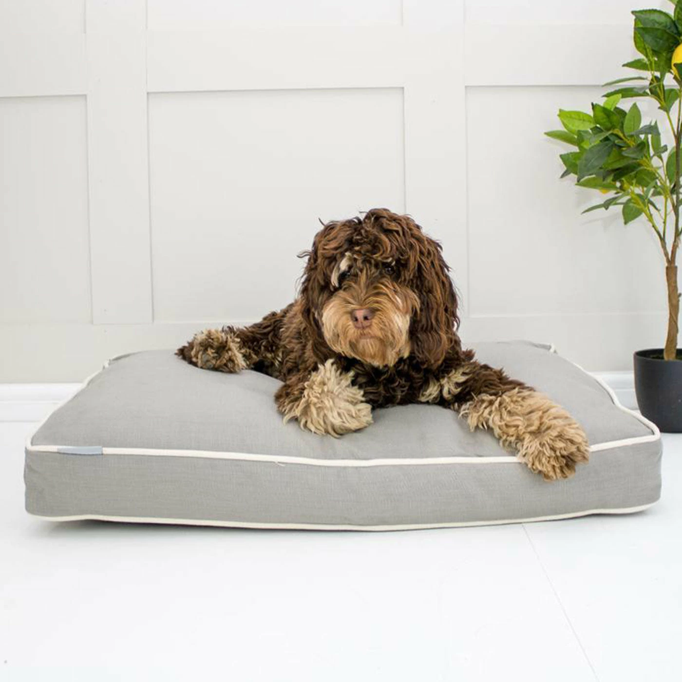 Brand new ⌛ Wholesale 🌟 🦮 Dog Crate with Savanna Cushion by Lords & Labradors 👏 🎉 7 Brand new ⌛ Wholesale 🌟 🦮 Dog Crate with Savanna Cushion by Lords & Labradors 👏 🎉 - Image 7