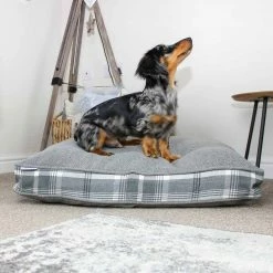 Discount 🥰 Outlet 💯 Personalised 🐶 🐶 Dog Cushion in Balmoral Dove Grey Tweed by Lords & Labradors 🔥 🧨 -Cheap Lords & Labradors Store dog cushion in balmoral dove grey tweed by lords labradors