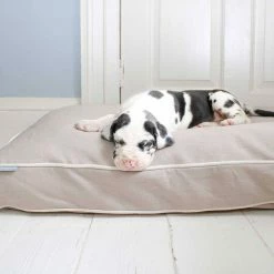 Cheapest 🔥 Outlet 👏 🐕 Dog Cushion in Savanna Oatmeal by Lords & Labradors 🔥 ✔️ -Cheap Lords & Labradors Store dog cushion in oatmeal savannah by lords labradors lifestyle close up