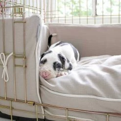 Cheapest 🔥 Outlet 👏 🐕 Dog Cushion in Savanna Oatmeal by Lords & Labradors 🔥 ✔️ -Cheap Lords & Labradors Store dog cushion in oatmeal savannah by lords labradors puppy close up