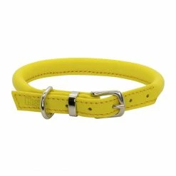Buy ✔️ Top 10 🎁 🐶 Dogs & Horses Soft Rolled Leather Collar 🎉 🤩 -Cheap Lords & Labradors Store dogs and horses rolled yellow collar
