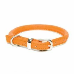 Buy ✔️ Top 10 🎁 🐶 Dogs & Horses Soft Rolled Leather Collar 🎉 🤩 -Cheap Lords & Labradors Store dogs horses rolled leather collar orange and silver