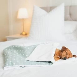 Cheapest 🥰 Best reviews of 💯 🦮 Dog & Puppy Blanket By Lords & Labradors - Spots & Stripes Collection ✔️ 🎉