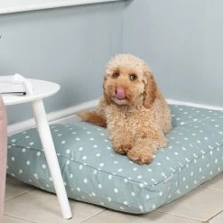 Brand new 🛒 Hot Sale ❤️ 🐕 Dog Cushion in Duck Egg Spot by Lords & Labradors 🥰 🛒 -Cheap Lords & Labradors Store duck egg spot cushion 2