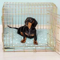 Brand new 🛒 Hot Sale ❤️ 🐕 Dog Cushion in Duck Egg Spot by Lords & Labradors 🥰 🛒