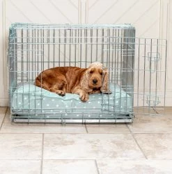 Deals 🥰 Best Sale 🥰 Personalised 🐕 🐶 Dog Cushion in Duck Egg Spot by Lords & Labradors ❤️ 🛒