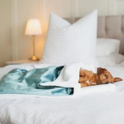 Best Pirce ✔️ Promo ❤️ 🐕 Dog & Puppy Velvet Blanket By Lords & Labradors 😉 👏