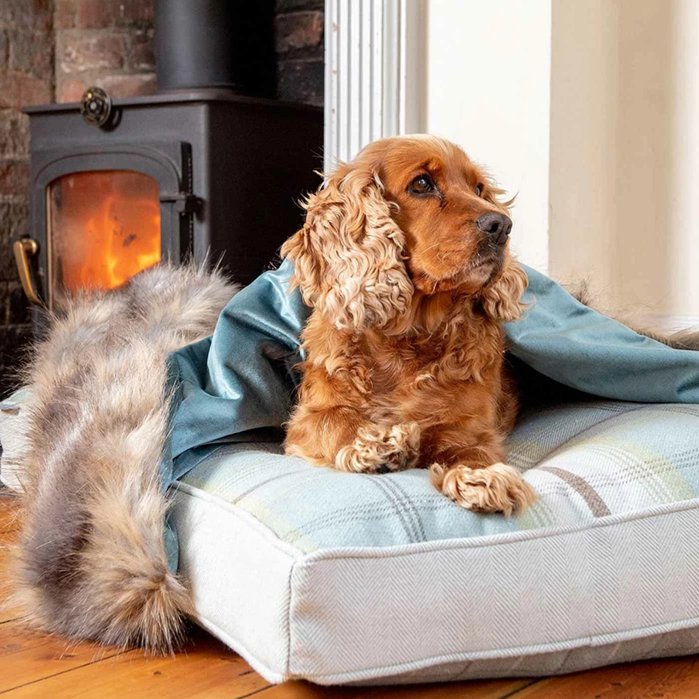 Best Pirce ๐ Best Pirce ๐ Lords & Labradors Duck Egg & Wolf Faux Fur ๐ฆฎ ๐ Dog & Puppy Blanket ๐ฅฐ ๐ 1 Best Pirce ๐ Best Pirce ๐ Lords & Labradors Duck Egg & Wolf Faux Fur ๐ฆฎ ๐ Dog & Puppy Blanket ๐ฅฐ ๐