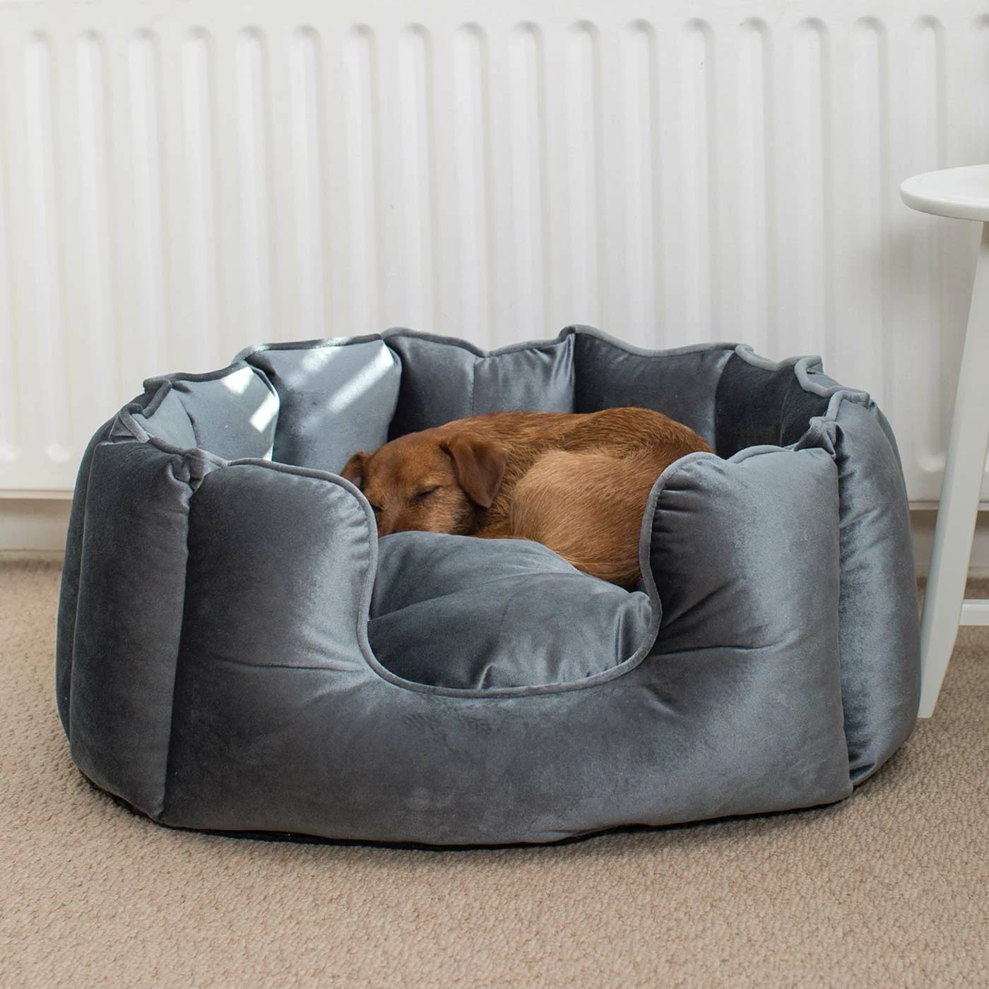 Discount โจ Best deal โค๏ธ Lords & Labradors High Wall Luxury Velvet Bed For ๐ ๐ Dogs โ โ 10 Discount โจ Best deal โค๏ธ Lords & Labradors High Wall Luxury Velvet Bed For ๐ ๐ Dogs โ โ - Image 10