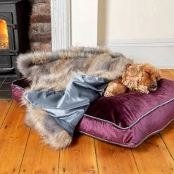 Best Pirce 🧨 Coupon ✨ Lords & Labradors Elephant & Wolf Faux Fur 🐶 🐕 Dog & Puppy Blanket 🛒 👏