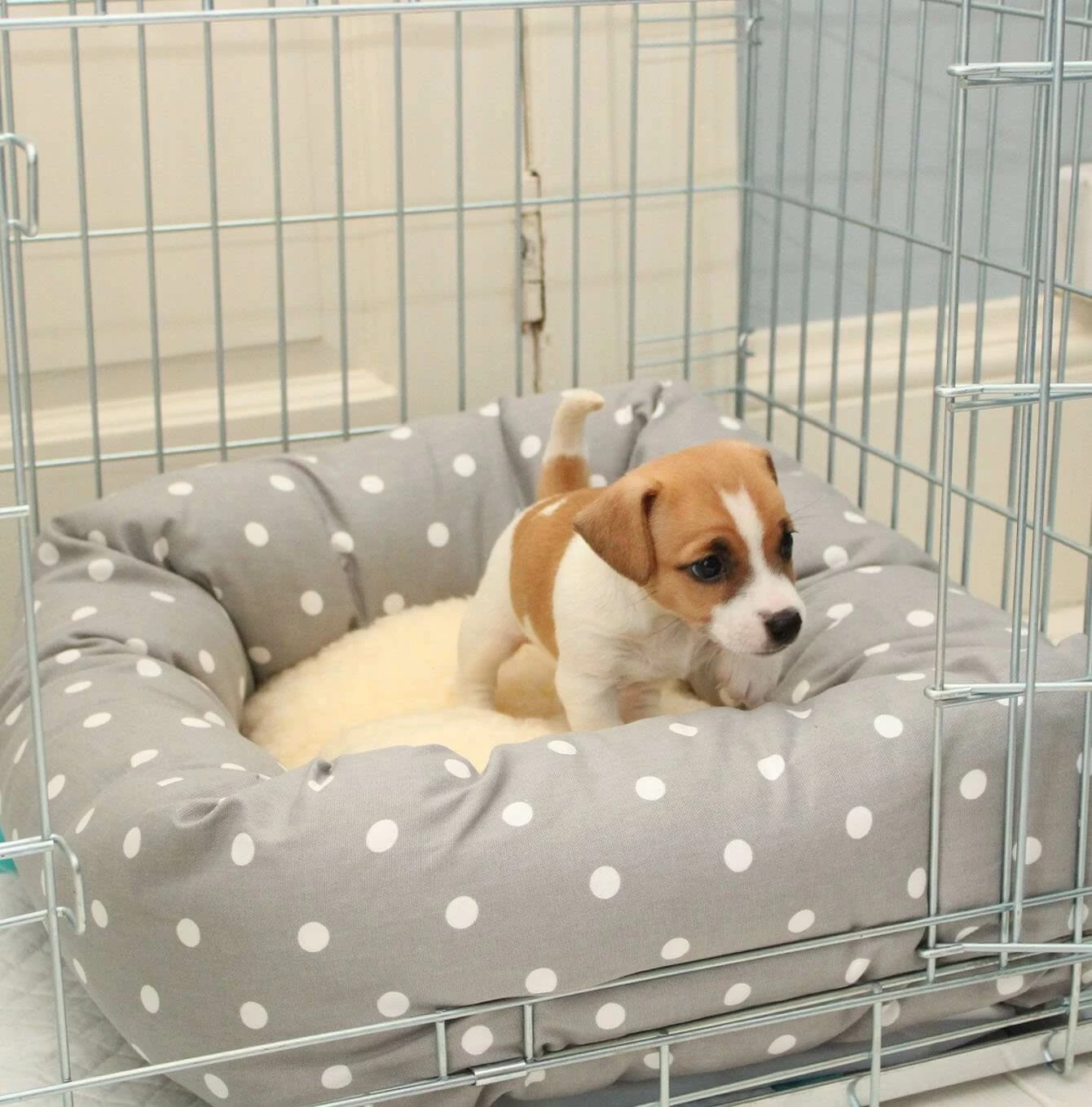Cheap 🔔 Coupon 👏 🐕 Dog Crate with Cosy & Calm Puppy Bed Set By Lords & Labradors 🔔 🔥 2 Cheap 🔔 Coupon 👏 🐕 Dog Crate with Cosy & Calm Puppy Bed Set By Lords & Labradors 🔔 🔥 - Image 2