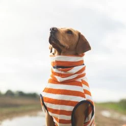 Best deal โจ Best Pirce โจ Harbour Hounds Orange Stripe Drying ๐งฅ ๐งฅ Coat โ๏ธ ๐ 9 Best deal โจ Best Pirce โจ Harbour Hounds Orange Stripe Drying ๐งฅ ๐งฅ Coat โ๏ธ ๐ -Cheap Lords & Labradors Store harbour hounds orange stripe drying robe labrador 1