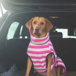 Hot Sale 🔥 Coupon ❤️ Harbour Hounds Pink Stripe Drying 🧥 🧥 Coat 🎉 ❤️