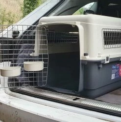 Hot Sale 🔔 Buy 💯 Henry Wag Air Kennel ⌛ 🤩