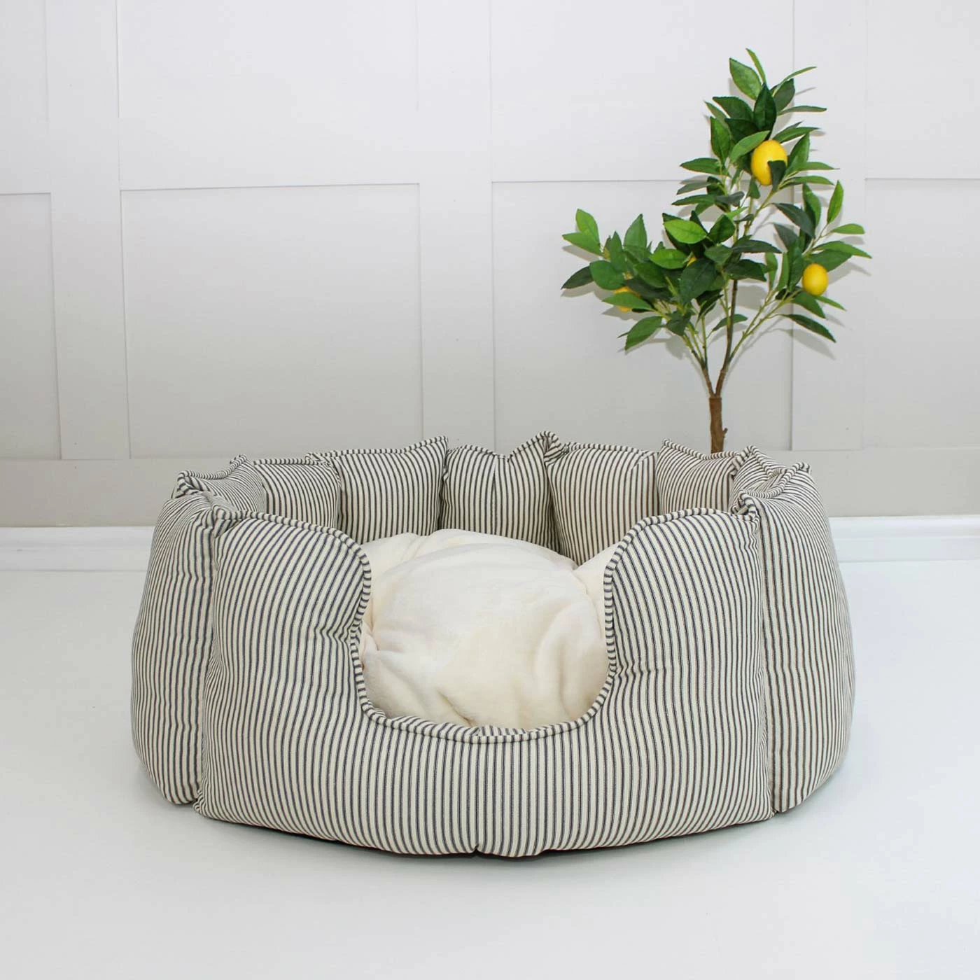 Best Pirce 👍 Best deal ✨ Lords & Labradors High Wall Bed For Cats - Signature Collection 😍 🎉 4 Best Pirce 👍 Best deal ✨ Lords & Labradors High Wall Bed For Cats - Signature Collection 😍 🎉 - Image 4