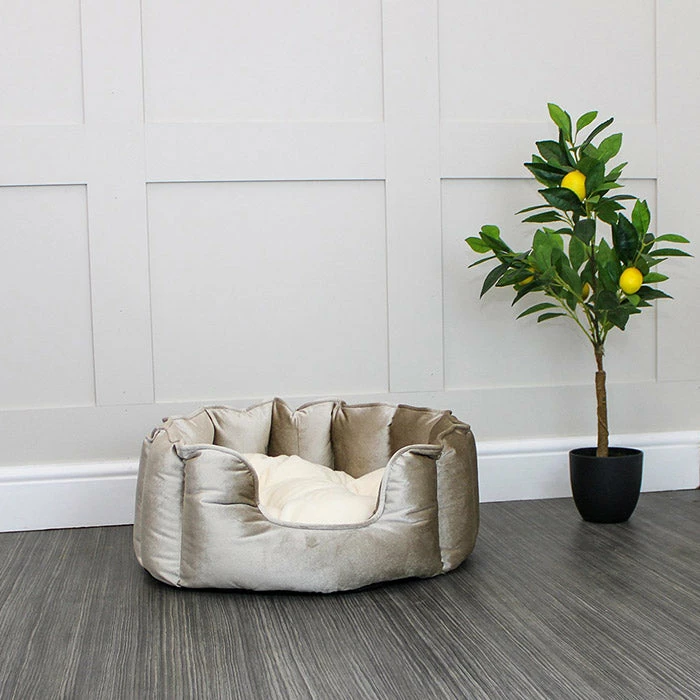 Discount โจ Best deal โค๏ธ Lords & Labradors High Wall Luxury Velvet Bed For ๐ ๐ Dogs โ โ 9 Discount โจ Best deal โค๏ธ Lords & Labradors High Wall Luxury Velvet Bed For ๐ ๐ Dogs โ โ - Image 9