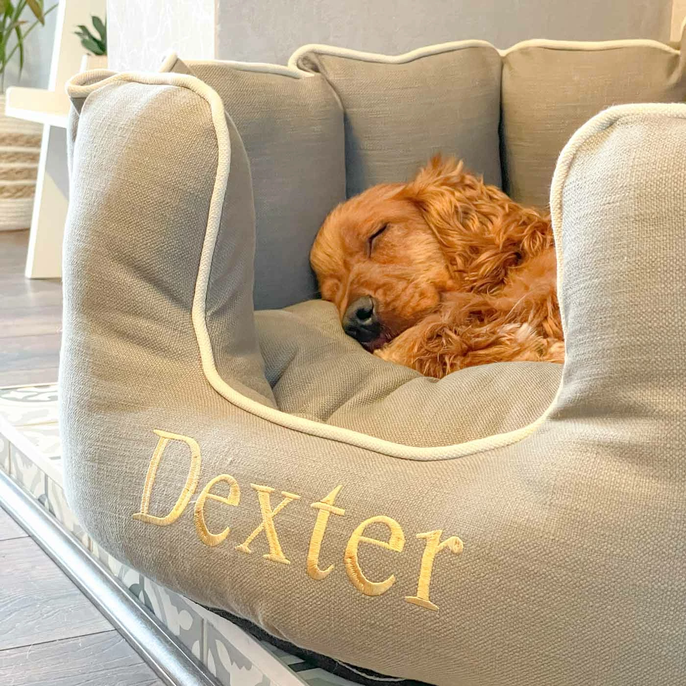 Flash Sale ๐ New ๐ Lords & Labradors Personalised High Wall Savanna Bed For ๐ฆฎ ๐ถ Dogs โ ๐ฅ 8 Flash Sale ๐ New ๐ Lords & Labradors Personalised High Wall Savanna Bed For ๐ฆฎ ๐ถ Dogs โ ๐ฅ - Image 8