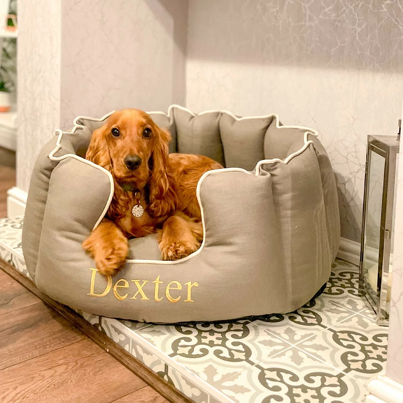 Flash Sale ๐ New ๐ Lords & Labradors Personalised High Wall Savanna Bed For ๐ฆฎ ๐ถ Dogs โ ๐ฅ 7 Flash Sale ๐ New ๐ Lords & Labradors Personalised High Wall Savanna Bed For ๐ฆฎ ๐ถ Dogs โ ๐ฅ - Image 7