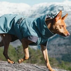 Top 10 ๐ Best Sale ๐คฉ Hurtta Expedition Parka ๐ ๐คฉ