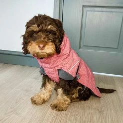 Top 10 😍 Best Sale 🤩 Hurtta Expedition Parka 😍 🤩 -Cheap Lords & Labradors Store hurtta expedition parka burgundy lifestyle