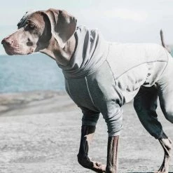 Hot Sale ๐ Cheap โค๏ธ Hurtta Outdoors Body Warmer ๐ ๐งจ