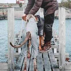 Hot Sale 👍 Cheap ❤️ Hurtta Outdoors Body Warmer 🎉 🧨 -Cheap Lords & Labradors Store hurtta outdoors body warmer dog lifestyle