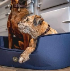 New 😉 Outlet ✔️ Le Chameau 🐕 🐶 Dog Bed 🎁 🔥 9 New 😉 Outlet ✔️ Le Chameau 🐕 🐶 Dog Bed 🎁 🔥 -Cheap Lords & Labradors Store le chameau bleau dog bed lifestyle