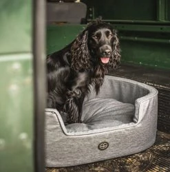 New ๐ Outlet โ๏ธ Le Chameau ๐ ๐ถ Dog Bed ๐ ๐ฅ