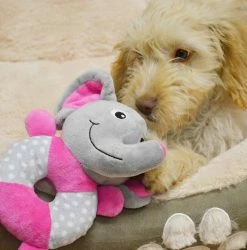 Best Sale 🤩 Coupon 😀 Lords & Labradors Puppy Essentials Pack - Large/Giant Breeds 🧨 🧨 -Cheap Lords & Labradors Store little rascals play ring elephant lifestyle 2 c775f610 f293 405d afbb 5795fa746cc0