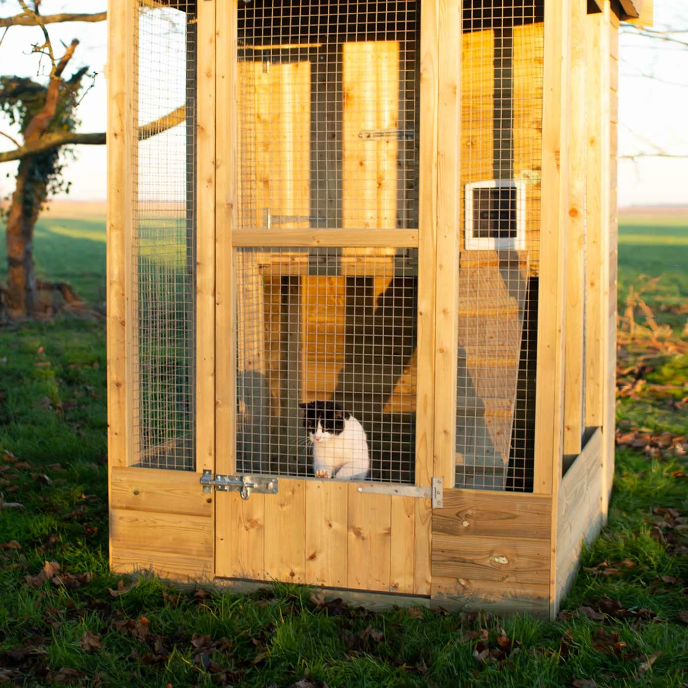 Best Sale ๐ฏ Brand new ๐ฅ Lords & Labradors Outdoor Cat Cave ๐ ๐ 1 Best Sale ๐ฏ Brand new ๐ฅ Lords & Labradors Outdoor Cat Cave ๐ ๐