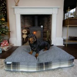 Deals 👍 Best deal 🥰 🦮 Dog Cushion in Balmoral Charcoal Tweed by Lords & Labradors 😀 🛒 -Cheap Lords & Labradors Store lords and labradors charcoal tweed crate cushion with dachshund sitting