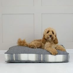 Budget ๐ Cheap โค๏ธ Personalised ๐ถ ๐ฆฎ Dog Cushion in Balmoral Charcoal Tweed by Lords & Labradors ๐ฏ โ