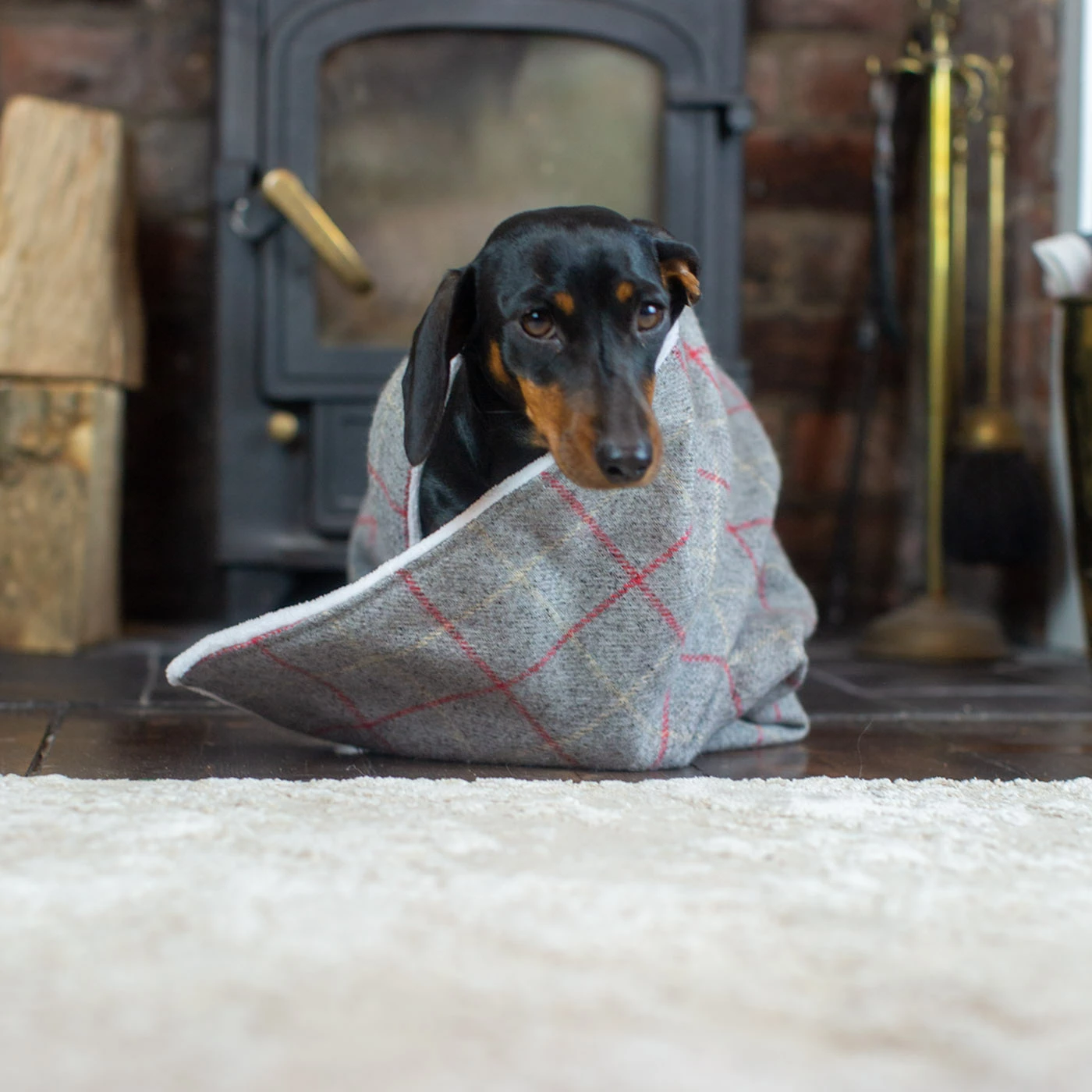 Flash Sale ๐ Cheap ๐ ๐ถ Dog & Puppy Cherry Tweed Blanket By Lords & Labradors โจ ๐ 2 Flash Sale ๐ Cheap ๐ ๐ถ Dog & Puppy Cherry Tweed Blanket By Lords & Labradors โจ ๐ - Image 2