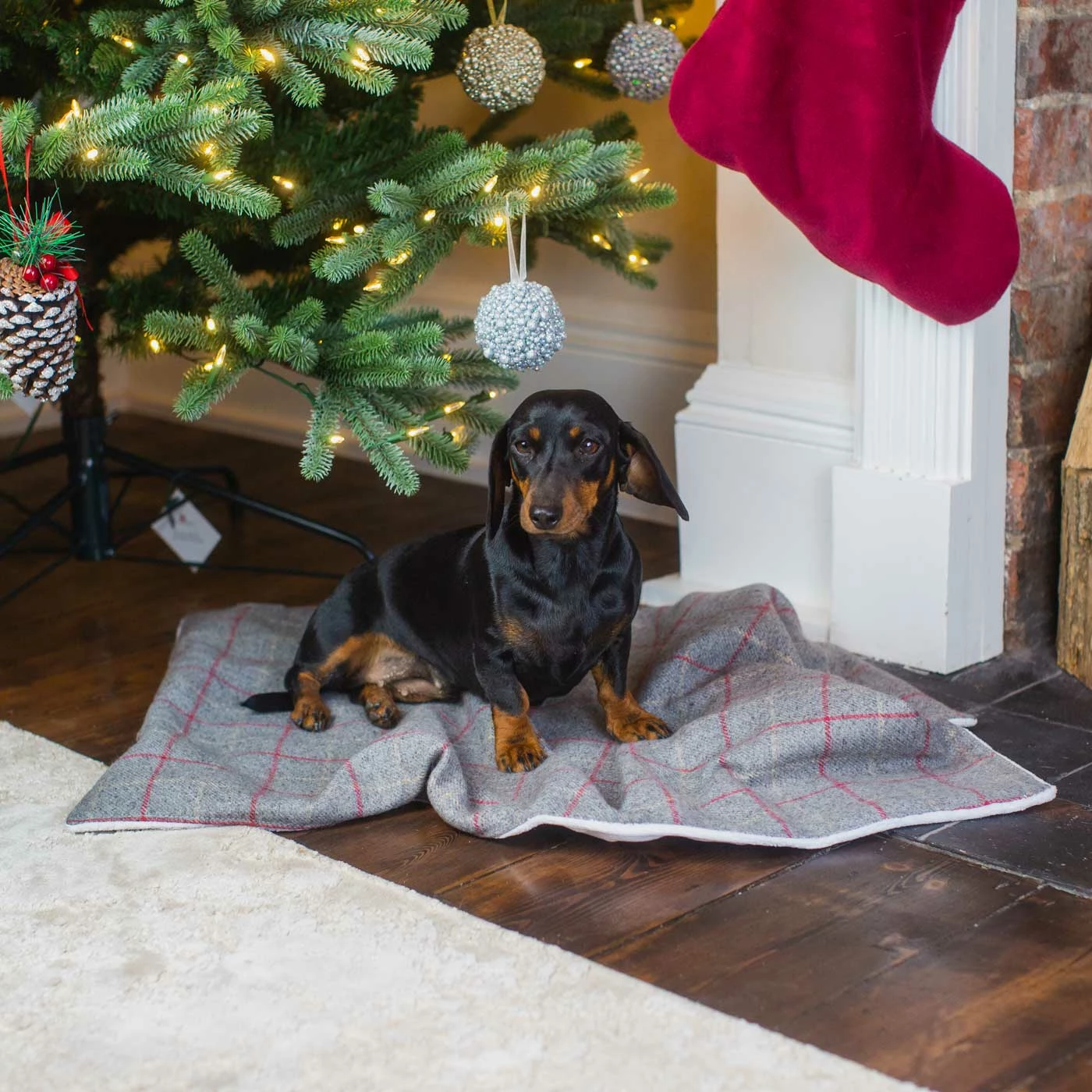 Flash Sale ๐ Cheap ๐ ๐ถ Dog & Puppy Cherry Tweed Blanket By Lords & Labradors โจ ๐ 1 Flash Sale ๐ Cheap ๐ ๐ถ Dog & Puppy Cherry Tweed Blanket By Lords & Labradors โจ ๐