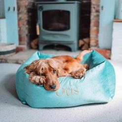 Brand new ⭐ Coupon 🧨 Lords & Labradors Luxury Velvet Box Bed For 🐕 🦮 Dogs ⭐ 👍 -Cheap Lords & Labradors Store lords and labradors luxury velvet box bed for dogs dog lifestyle