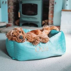 Brand new ⭐ Coupon 🧨 Lords & Labradors Luxury Velvet Box Bed For 🐕 🦮 Dogs ⭐ 👍 -Cheap Lords & Labradors Store lords and labradors luxury velvet box bed for dogs duck egg