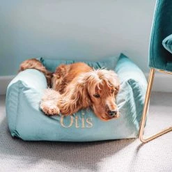 Brand new ⭐ Coupon 🧨 Lords & Labradors Luxury Velvet Box Bed For 🐕 🦮 Dogs ⭐ 👍 -Cheap Lords & Labradors Store lords and labradors luxury velvet box bed for dogs duck egg lifestyle