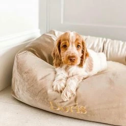 Brand new ⭐ Coupon 🧨 Lords & Labradors Luxury Velvet Box Bed For 🐕 🦮 Dogs ⭐ 👍