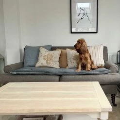 Best reviews of 🥰 Coupon ✨ Lords & Labradors Luxury Velvet Sofa Topper 🎁 🥰 -Cheap Lords & Labradors Store lords and labradors luxury velvet sofa topper