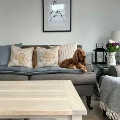 Best reviews of 🥰 Coupon ✨ Lords & Labradors Luxury Velvet Sofa Topper 🎁 🥰