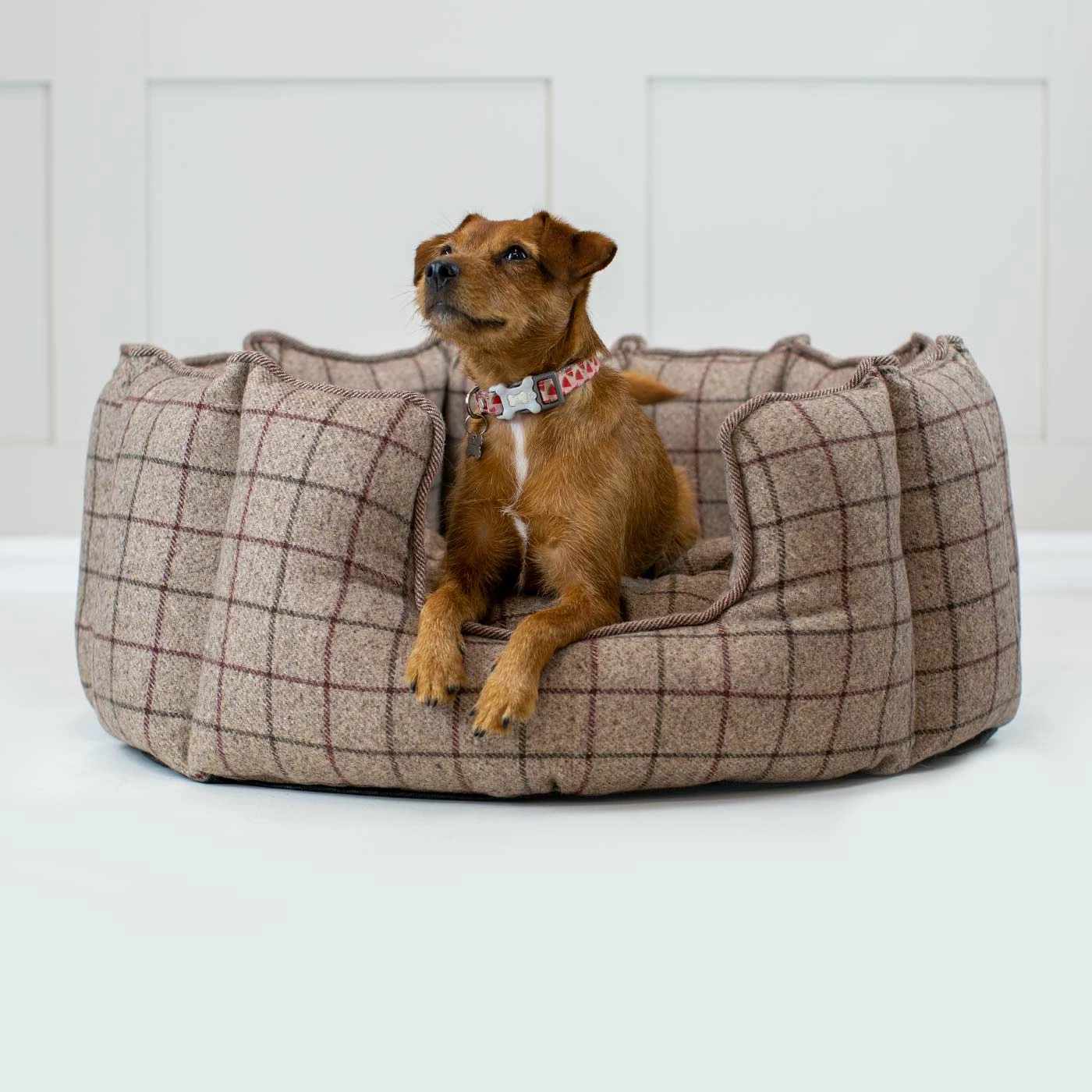 Discount 🥰 Best deal ❤️ Lords & Labradors High Wall Check Tweed Bed For 🦮 🐶 Dogs ✔️ 🤩 2 Discount 🥰 Best deal ❤️ Lords & Labradors High Wall Check Tweed Bed For 🦮 🐶 Dogs ✔️ 🤩 - Image 2