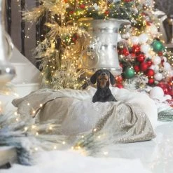 Cheap 💯 Deals 💯 🐕 Dog & Puppy Blanket in Zinc Velvet By Lords & Labradors 🌟 😍 -Cheap Lords & Labradors Store lords and labradors mushrom velvet blanket