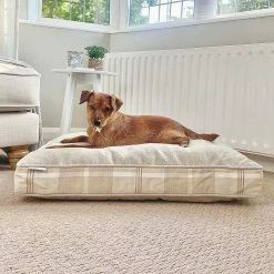 Discount 🤩 Deals 😍 🦮 Dog Cushion in Balmoral Natural Tweed by Lords & Labradors 🎁 🧨