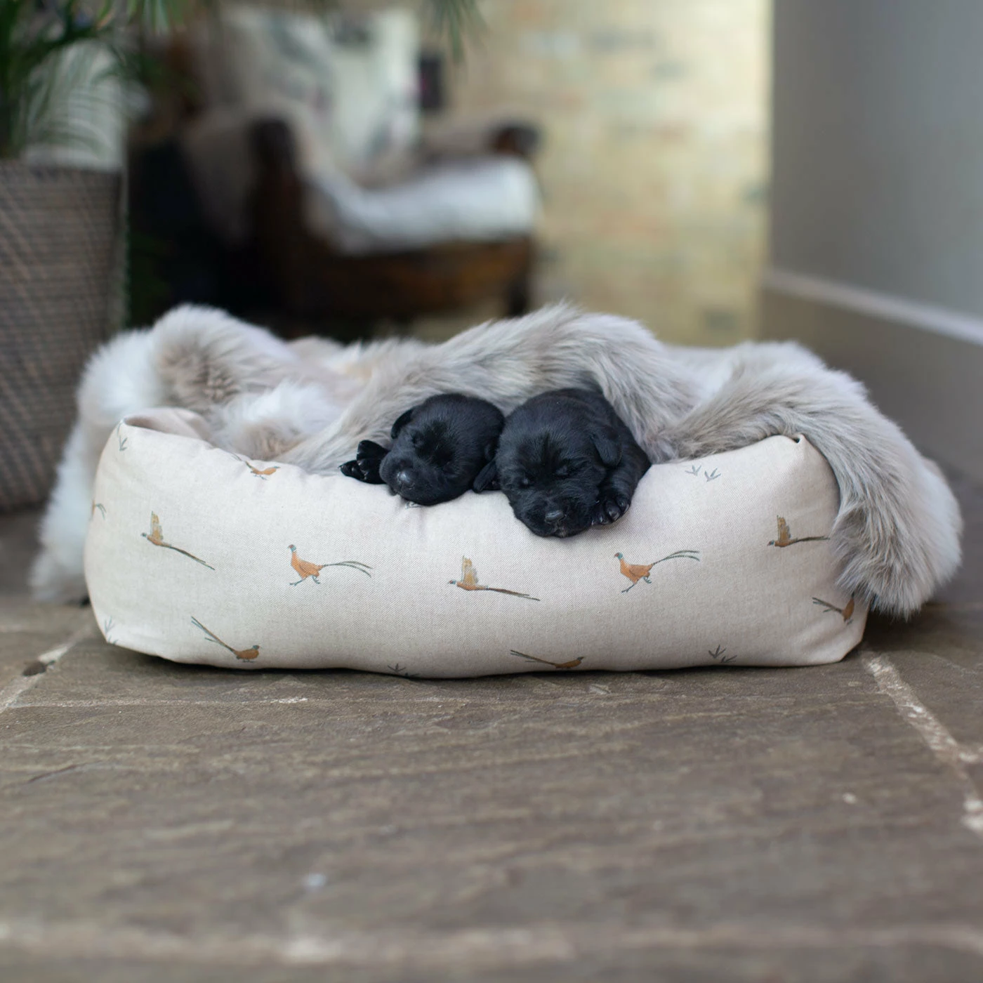 Discount โ Promo ๐ Lords & Labradors Personalised Cosy & Calm Puppy Box Bed - Woodlands Collection ๐ฏ ๐ 6 Discount โ Promo ๐ Lords & Labradors Personalised Cosy & Calm Puppy Box Bed - Woodlands Collection ๐ฏ ๐ - Image 6