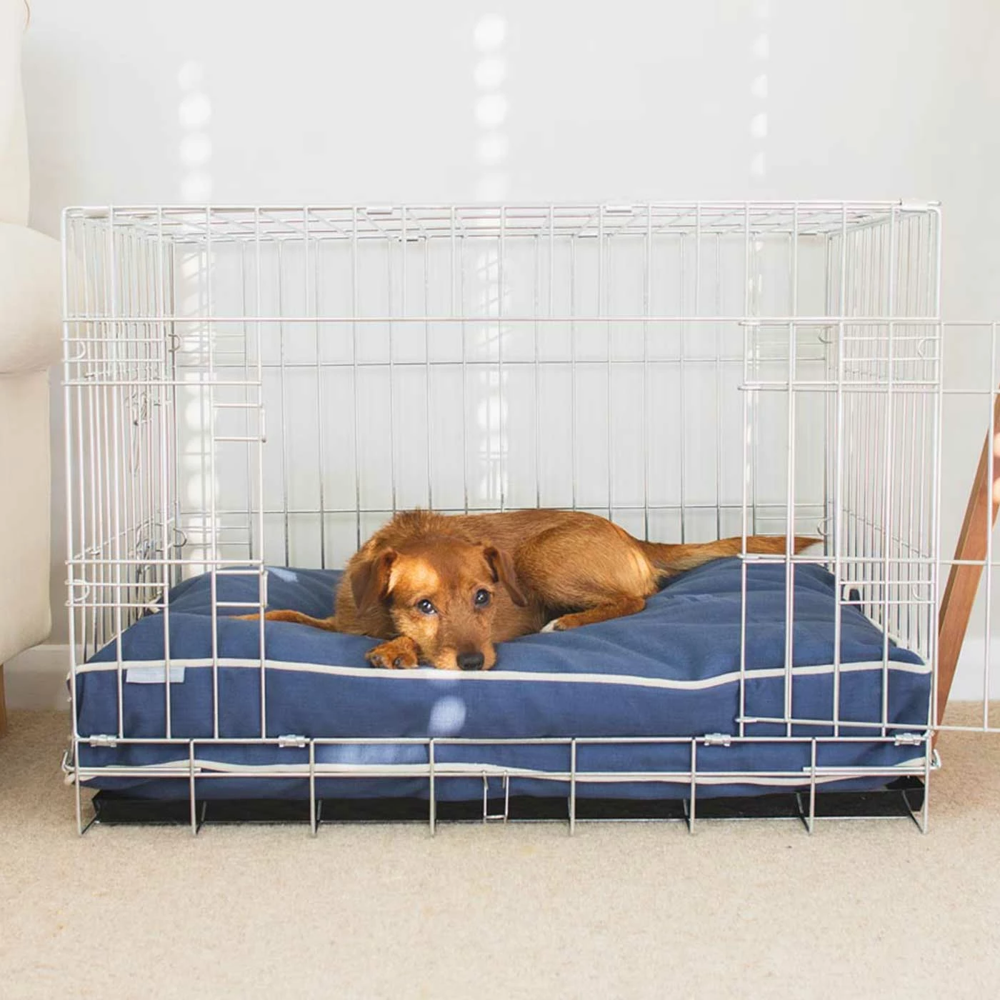 Brand new ⌛ Wholesale 🌟 🦮 Dog Crate with Savanna Cushion by Lords & Labradors 👏 🎉 1 Brand new ⌛ Wholesale 🌟 🦮 Dog Crate with Savanna Cushion by Lords & Labradors 👏 🎉