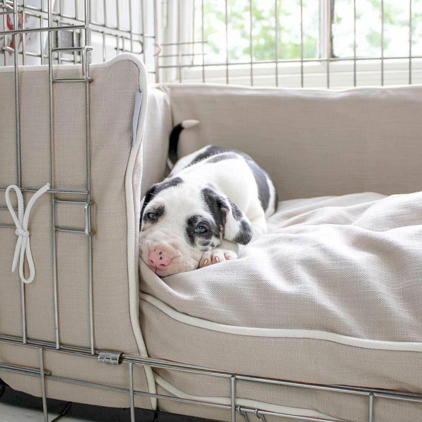 Brand new 🥰 Coupon 🔥 🦮 Dog Crate with Savanna Cushion & Bumper by Lords & Labradors 😀 😀 2 Brand new 🥰 Coupon 🔥 🦮 Dog Crate with Savanna Cushion & Bumper by Lords & Labradors 😀 😀 - Image 2