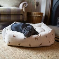Outlet 🔥 Top 10 💯 Lords & Labradors Woodlands Collection Box Bed For 🐕 🐶 Dogs ✨ 🛒