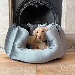 Discount โจ Best deal โค๏ธ Lords & Labradors High Wall Luxury Velvet Bed For ๐ ๐ Dogs โ โ 22 Discount โจ Best deal โค๏ธ Lords & Labradors High Wall Luxury Velvet Bed For ๐ ๐ Dogs โ โ -Cheap Lords & Labradors Store lords and labradors velvet high wall bed 1